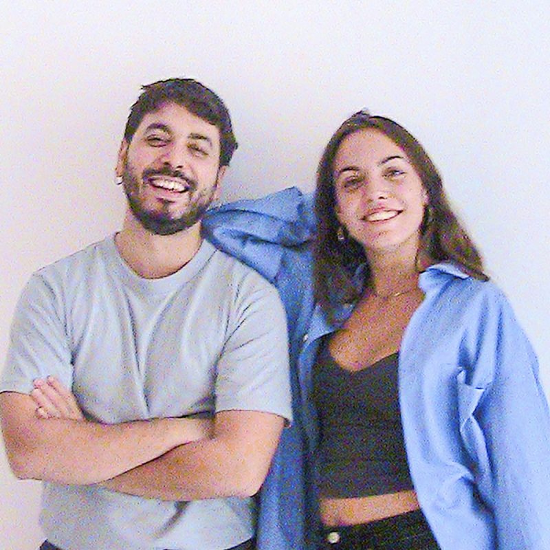 tme26-web-artista ginesta